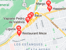 Google Maps results